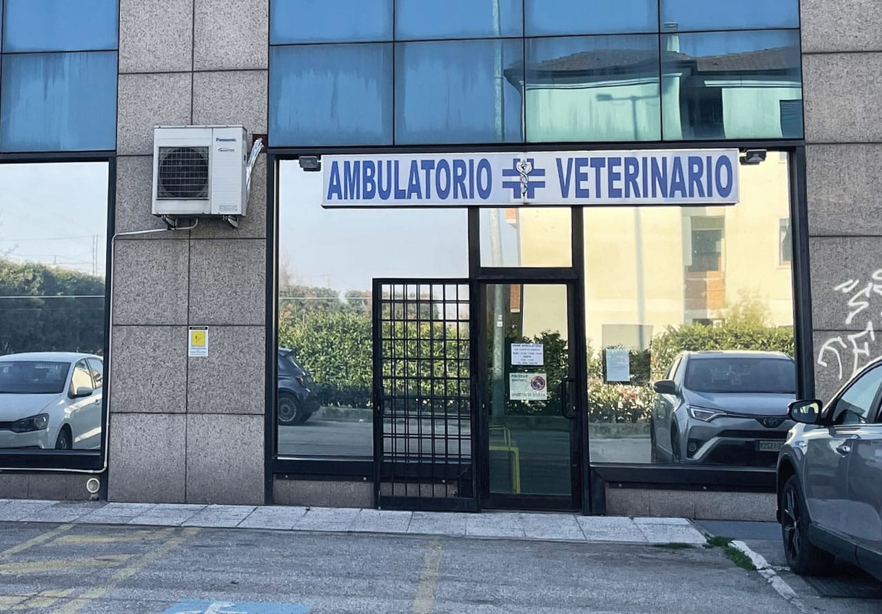 Ambulatorio Veterinario Vicenza 2