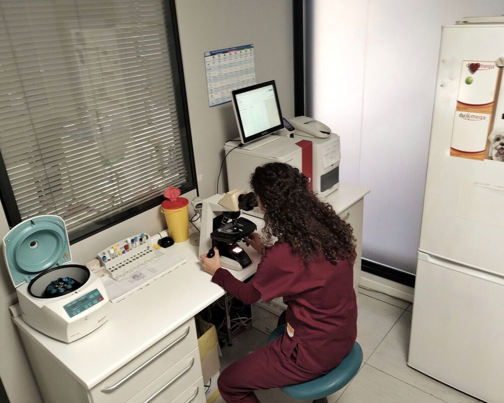 Laboratorio Veterinario Vicenza